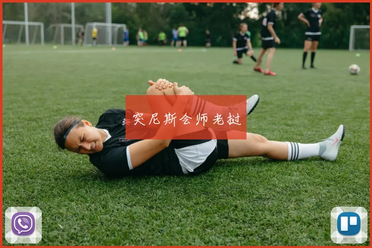 突尼斯会师老挝