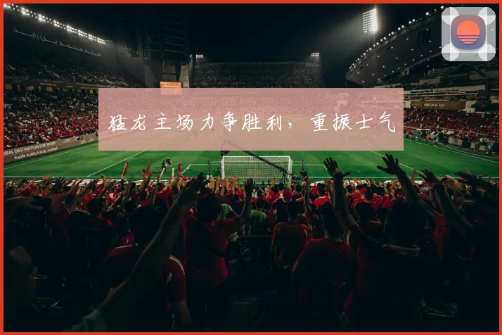 猛龙主场力争胜利,重振士气