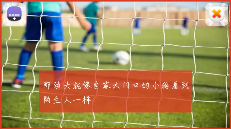 那劲头就像自家大门口的小狗看到陌生人一样