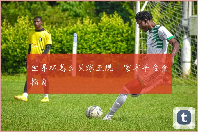 世界杯怎么买球正规｜官方平台全指南