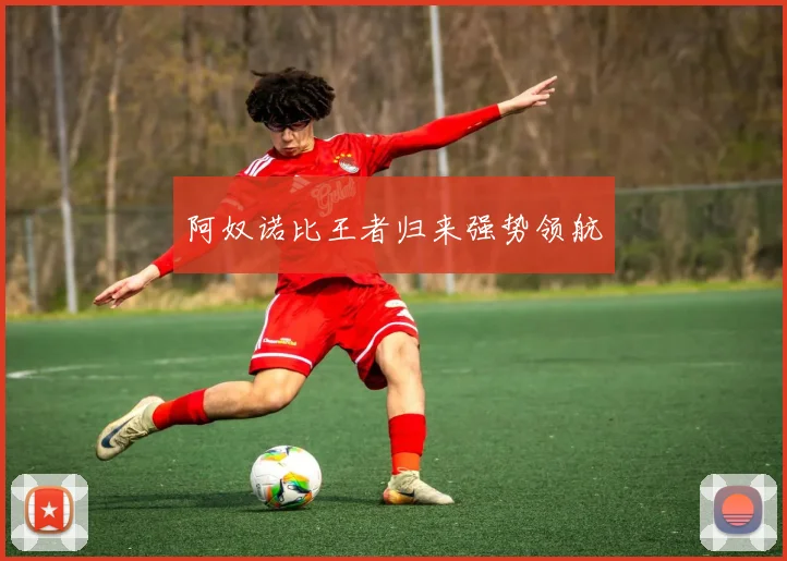 阿奴诺比王者归来强势领航