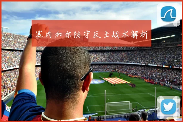 塞内加尔防守反击战术解析