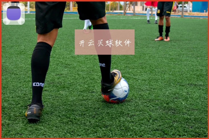 开云买球软件