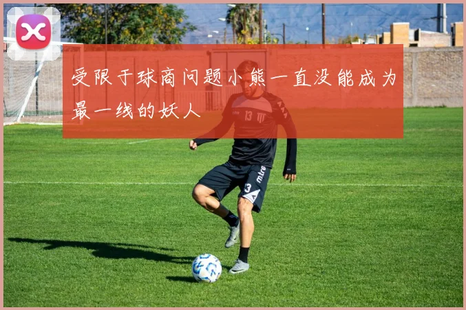 受限于球商问题小熊一直没能成为最一线的妖人