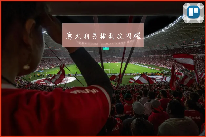意大利男排副攻闪耀