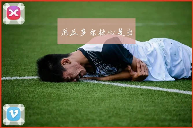 厄瓜多尔核心复出
