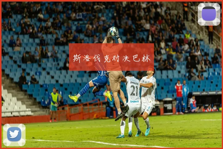 斯洛伐克对决巴林