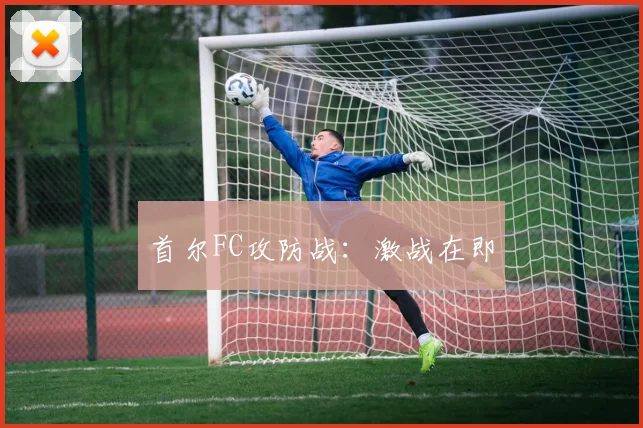 首尔FC攻防战:激战在即