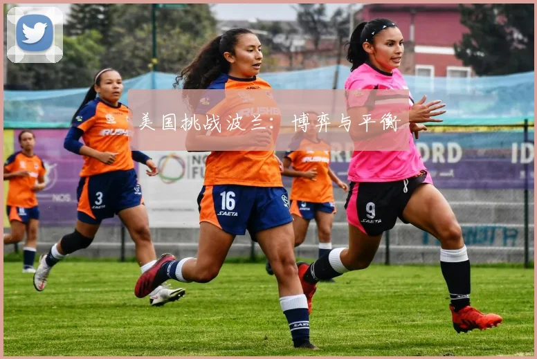 美国挑战波兰：博弈与平衡
