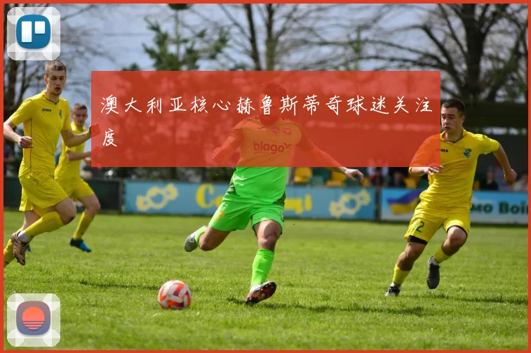 澳大利亚核心赫鲁斯蒂奇球迷关注度