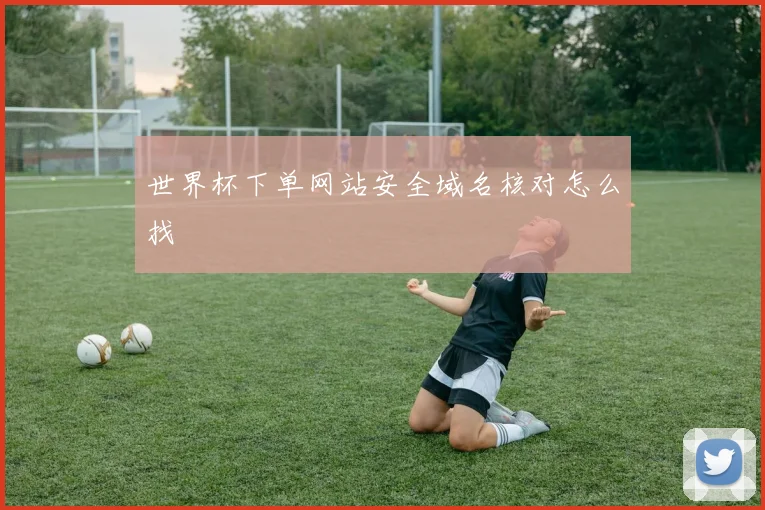 世界杯下单网站安全域名核对怎么找
